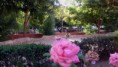 /album/antonio-luis-sanchez/parque-jpg/